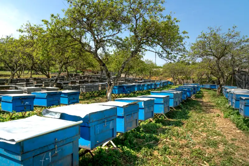 企事业单位食堂运营管理标准化体系建设要点解析