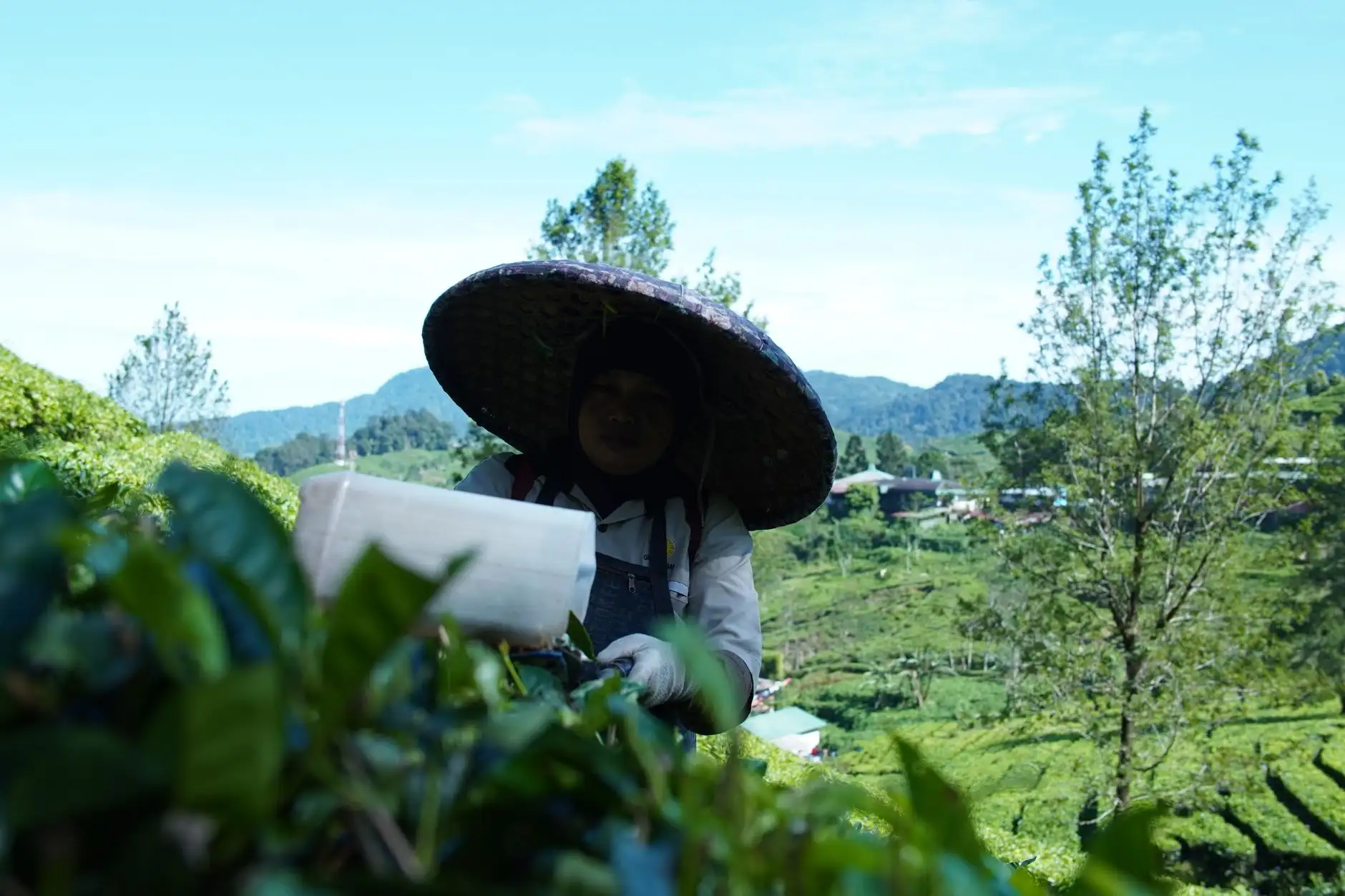 企事业单位食堂运营的标准化流程设计与实施要点