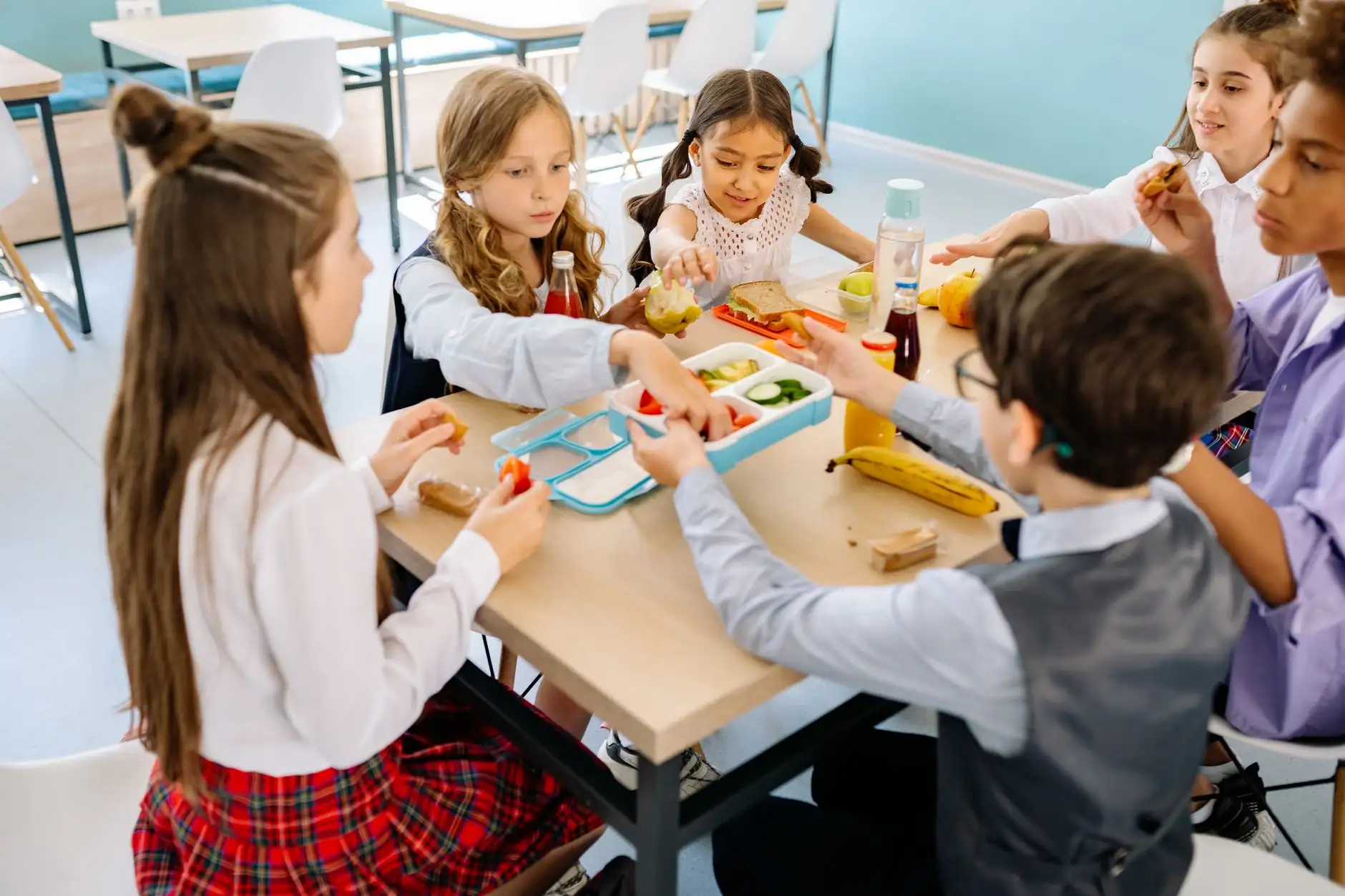 学校食堂食品安全风险防控与全流程托管服务体系构建正文配图 1
