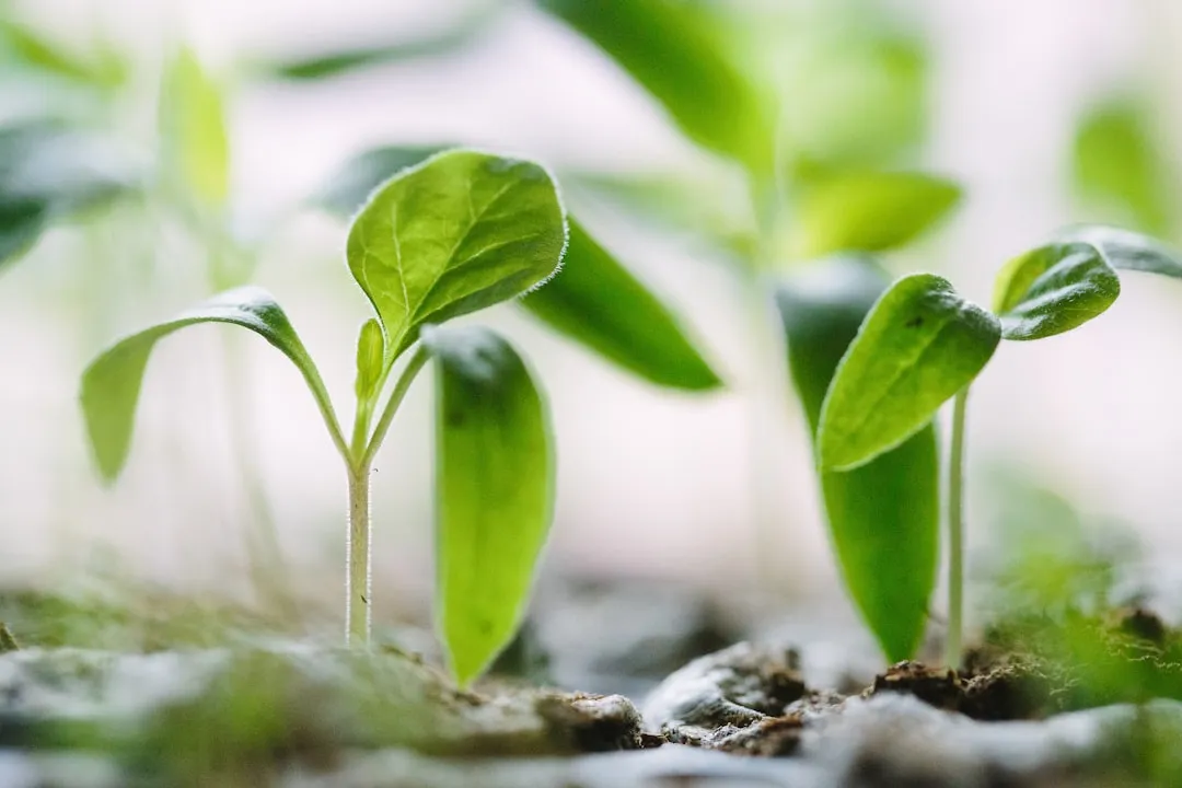 2025年企事业单位食堂运营管理规范化要点解析